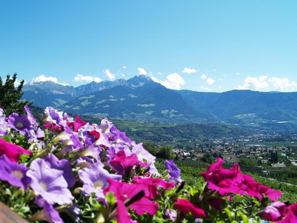 Pension Alpenblick Lagundo Dış mekan fotoğraf